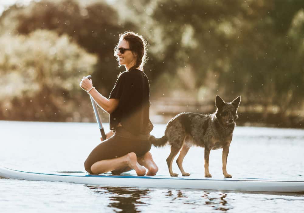 A woman on a paddleboard with a dog next to her.