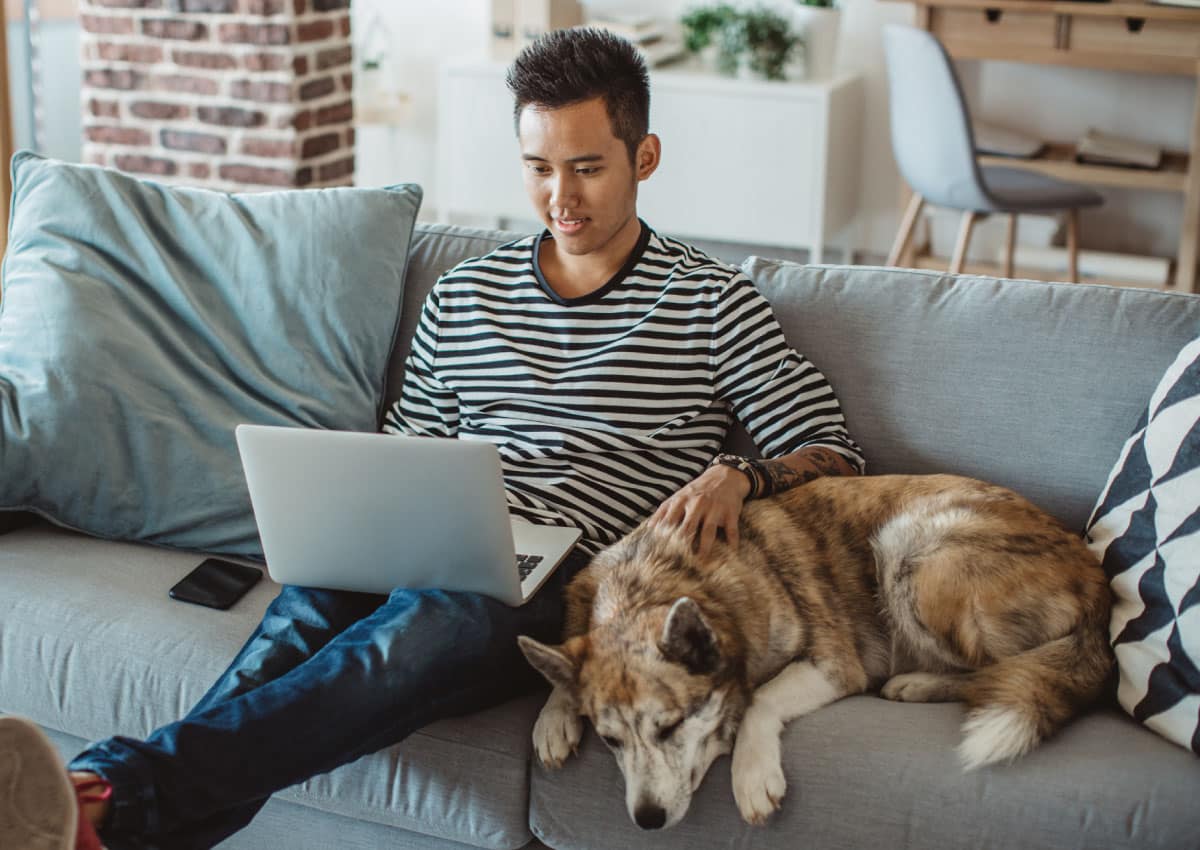 man sits on couch looking at open laptop while petting his dog.