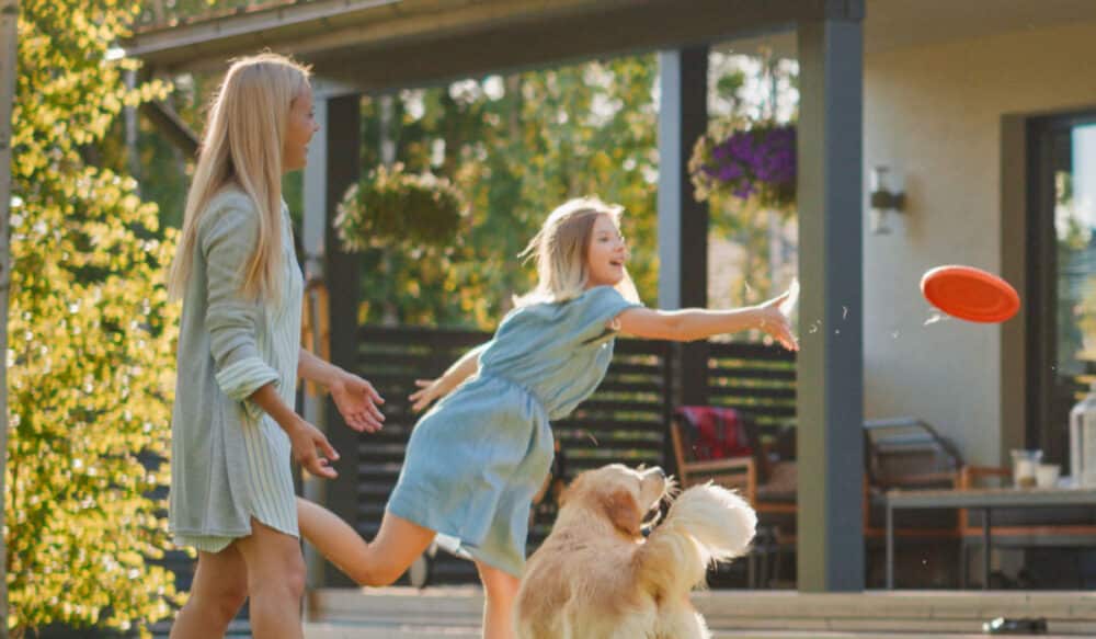 a family plays frisbee with a dog in front of a house.
