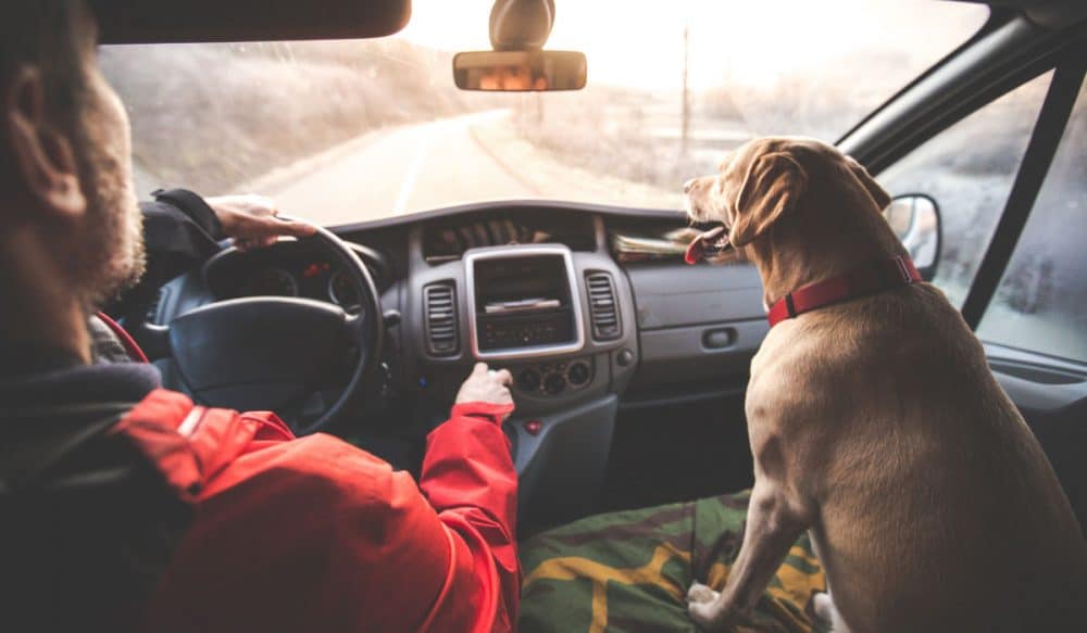 A man driving a car, there is a dog in the front seat next to him.