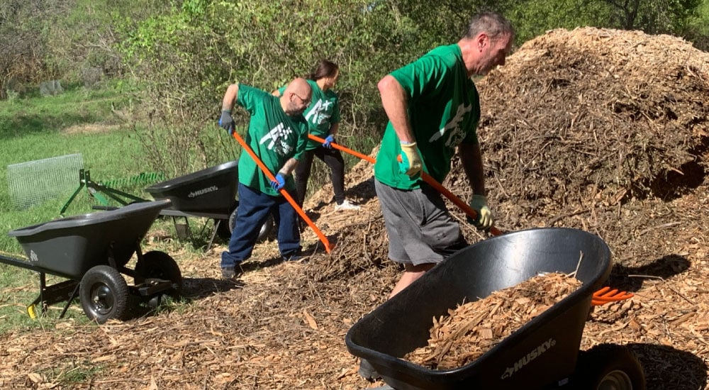 Team A+ moves mulch into wheelbarrows with Ecology Action of Texas.