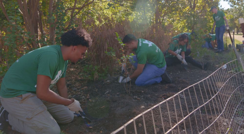 Team A+ plants trees with Pease Park Conservancy